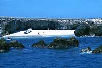 Marietas Islands