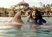 Nuevo Vallarta Swim With Dolphins