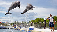 Nuevo Vallarta Dolphin Training