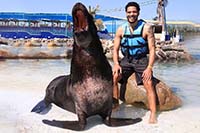 Man With Sea Lion Attraction