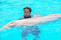 Man Swimming With Dolphin