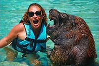 Woman With Sea Lion Nurvo Valarta