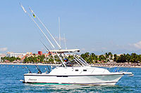 Fishing Nuevo Vallarta