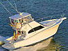 Fishing in Nuevo Vallarta