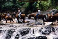 Nuevo Vallarta Horseback Riding