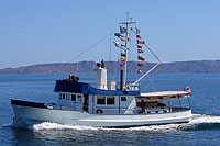 Nuevo Vallarta Boat Charter