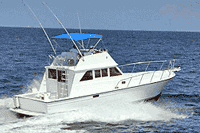 40' Express Boat Fishing Boat - Vallarta