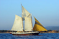 Nuevo Vallarta Sailing