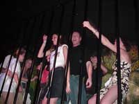 Nuevo Vallarta Night Club Tour