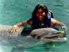Swim With Dolphins