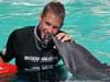 Dolphin Trainer for a Day