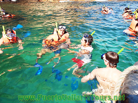 Private Snorkeling Tour